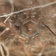 Image for article titled You'll Never Believe These Stunning Photos of Snow are Real